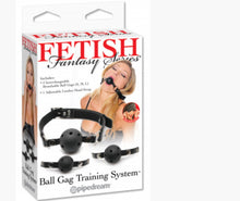 Load image into Gallery viewer, Fetish Fantasy Series Ball Gag Training System
